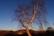 MONTE PODONA da Salmezza il 6 gennaio 2019 -  FOTOGALLERY